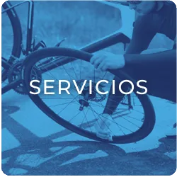 Servicios